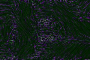 Photo loyalty program