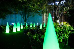 Photo Interactive Polls