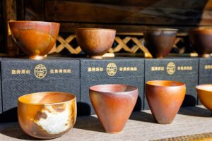 Photo Vibrant festival